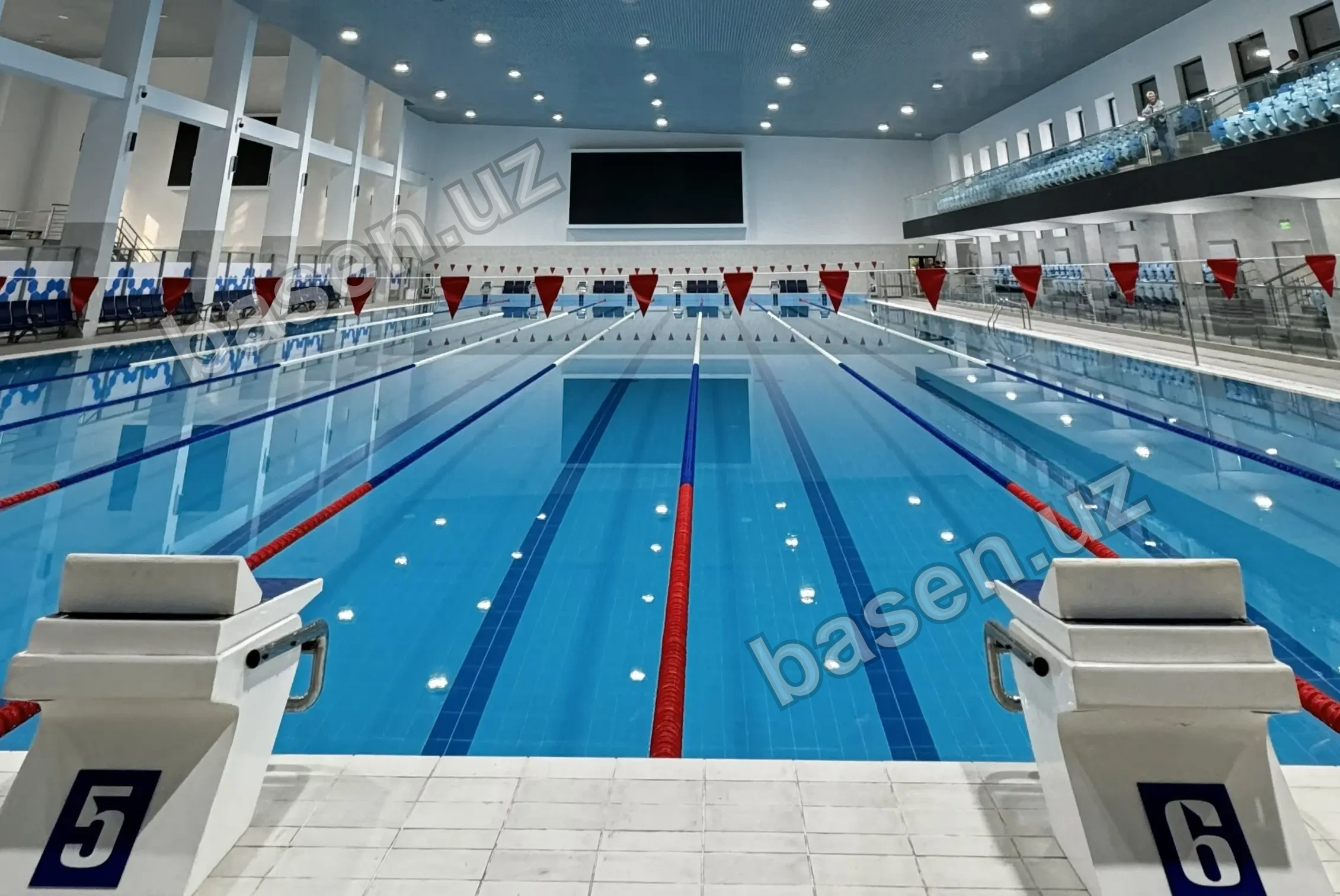 Born2swim — филиал «Pro by Born2swim»