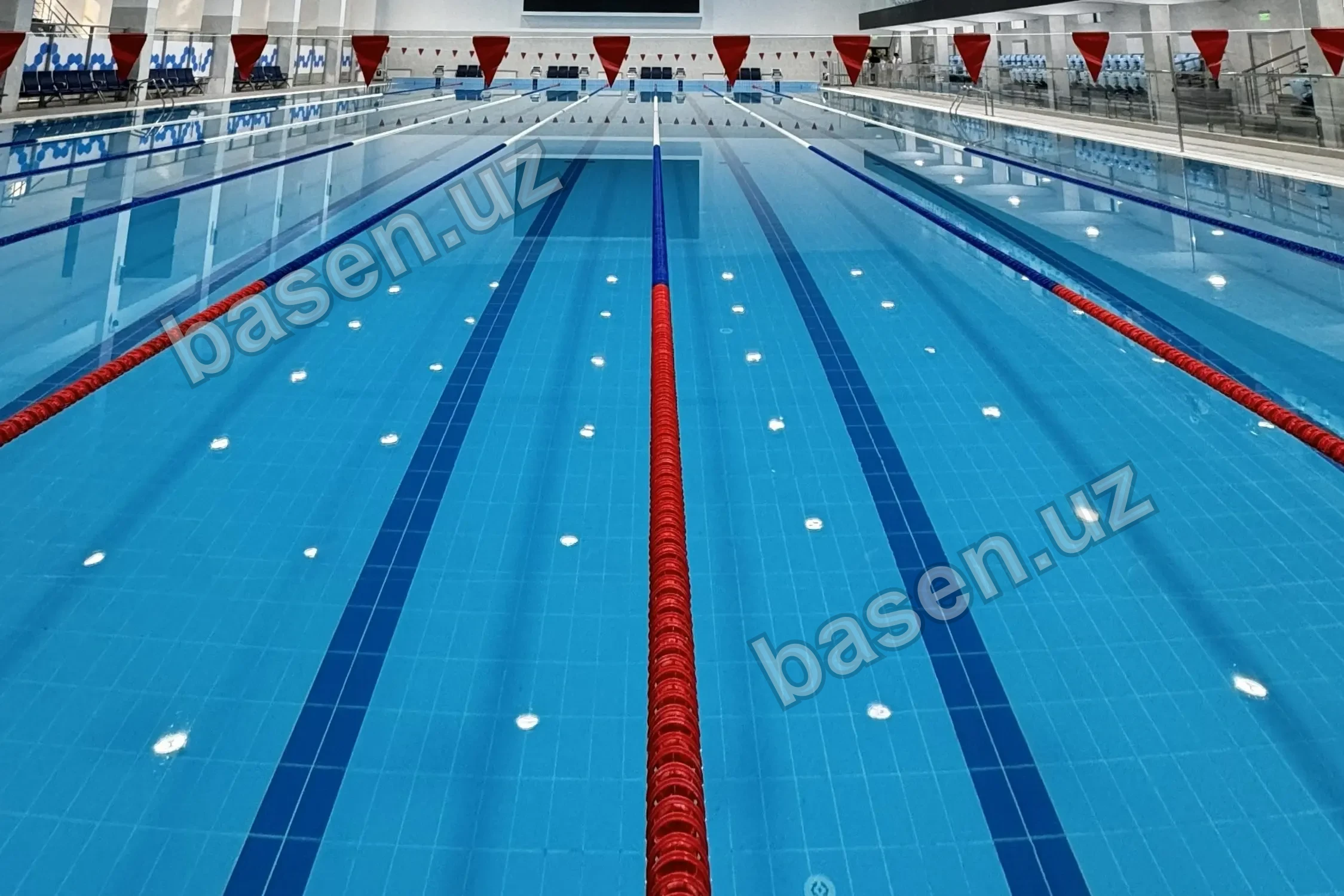 Born2swim — филиал «Pro by Born2swim» 3