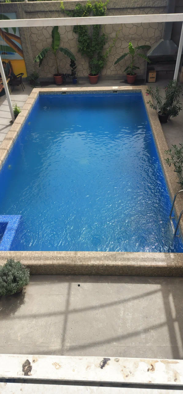 Delfin