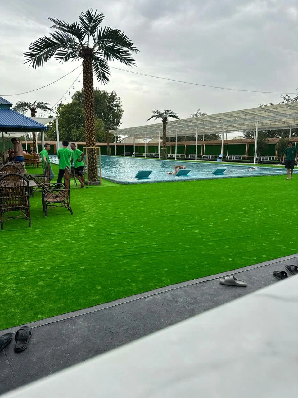 Greenpool Jomboy 2